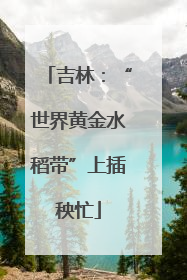 吉林：“世界黄金水稻带”上插秧忙