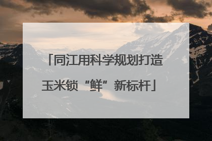 同江用科学规划打造玉米锁“鲜”新标杆
