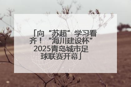 向“苏超”学习看齐！“海川建设杯”2025青岛城市足球联赛开幕