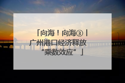 向海！向海③丨广州港口经济释放“乘数效应”