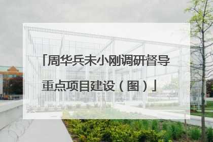 周华兵未小刚调研督导重点项目建设（图）