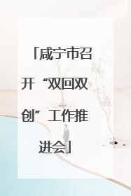 咸宁市召开“双回双创”工作推进会