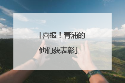 喜报！青浦的他们获表彰
