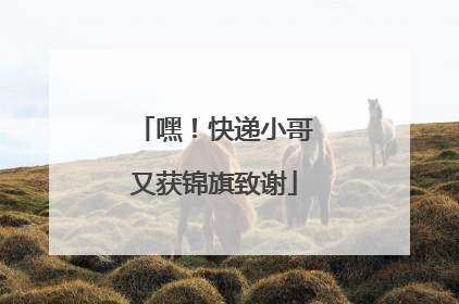 嘿！快递小哥又获锦旗致谢