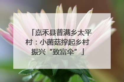 嘉禾县普满乡太平村：小菌菇撑起乡村振兴“致富伞”