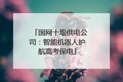 国网十堰供电公司：智能机器人护航高考保电
