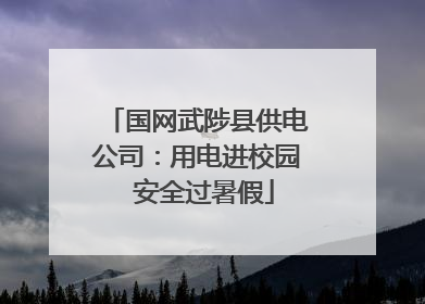 国网武陟县供电公司：用电进校园  安全过暑假