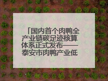 国内首个肉鸭全产业链碳足迹核算体系正式发布——泰安市肉鸭产业低碳发展标准示范项目顺利通过验收
