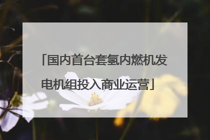 国内首台套氢内燃机发电机组投入商业运营