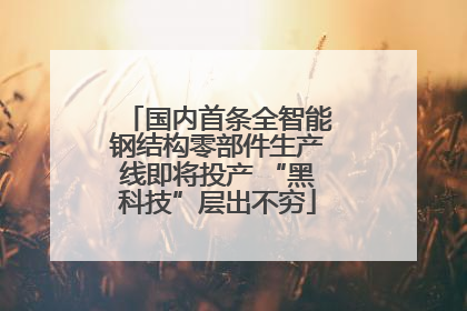 国内首条全智能钢结构零部件生产线即将投产 “黑科技”层出不穷