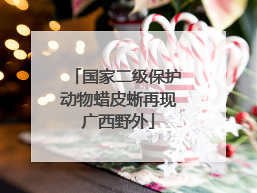 国家二级保护动物蜡皮蜥再现广西野外