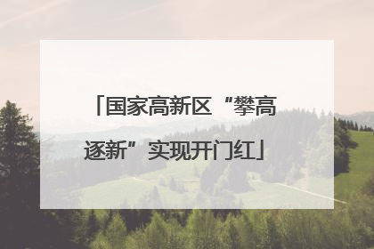 国家高新区“攀高逐新”实现开门红