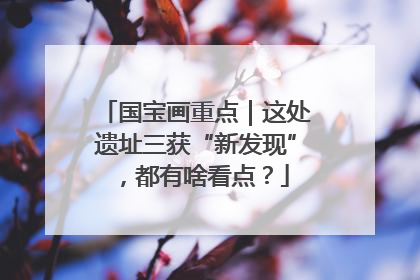 国宝画重点｜这处遗址三获“新发现”，都有啥看点？