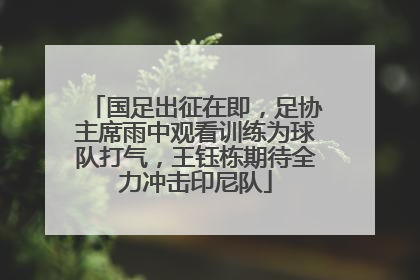 国足出征在即，足协主席雨中观看训练为球队打气，王钰栋期待全力冲击印尼队