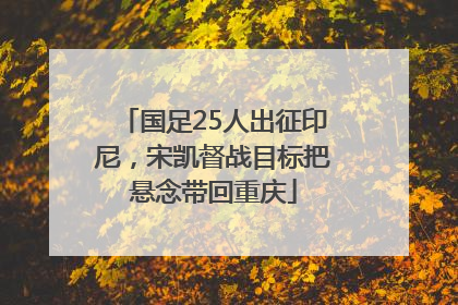 国足25人出征印尼，宋凯督战目标把悬念带回重庆