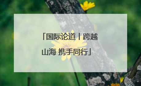 国际论道丨跨越山海 携手同行