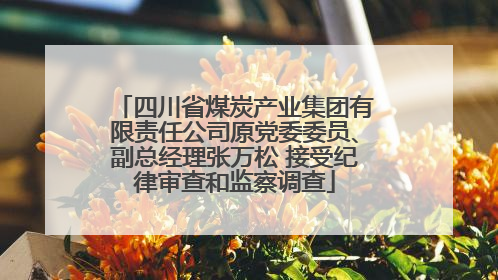 四川省煤炭产业集团有限责任公司原党委委员、副总经理张万松 接受纪律审查和监察调查
