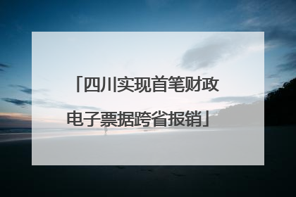 四川实现首笔财政电子票据跨省报销