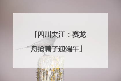 四川夹江：赛龙舟抢鸭子迎端午