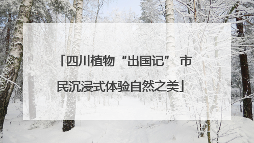 四川植物“出国记” 市民沉浸式体验自然之美