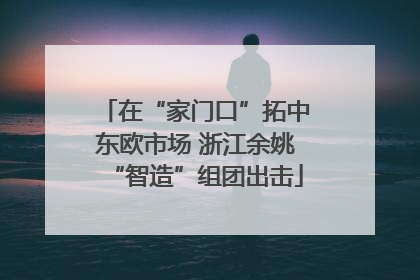 在“家门口”拓中东欧市场 浙江余姚“智造”组团出击