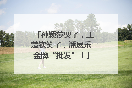 孙颖莎哭了，王楚钦笑了，潘展乐金牌“批发”！