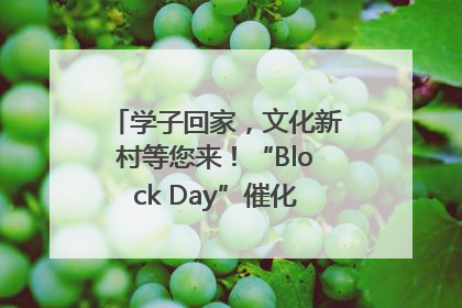 学子回家，文化新村等您来！“Block Day”催化学院式街区新生态
