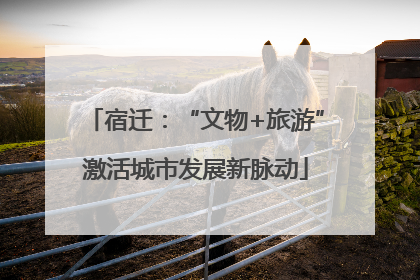 宿迁：“文物+旅游”激活城市发展新脉动