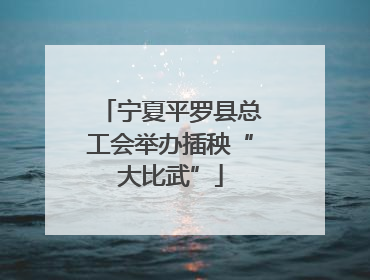 宁夏平罗县总工会举办插秧“大比武”