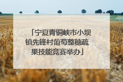 宁夏青铜峡市小坝镇先锋村葡萄整穗疏果技能竞赛举办