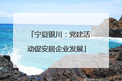 宁夏银川：党建活动促安居企业发展