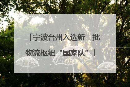 宁波台州入选新一批物流枢纽“国家队”