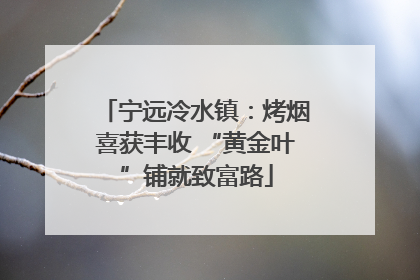 宁远冷水镇：烤烟喜获丰收 “黄金叶”铺就致富路