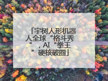 宇树人形机器人全球“格斗秀”，AI“拳王”硬核破圈