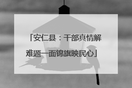 安仁县：干部真情解难题一面锦旗映民心