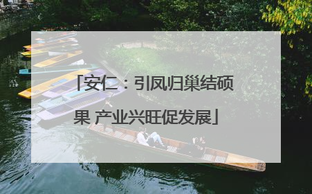 安仁：引凤归巢结硕果 产业兴旺促发展
