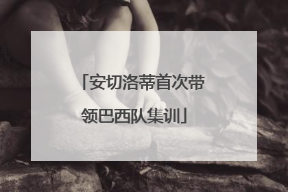 安切洛蒂首次带领巴西队集训