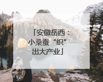 安徽岳西：小桑蚕“织”出大产业