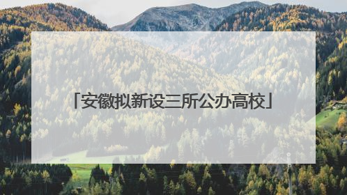 安徽拟新设三所公办高校