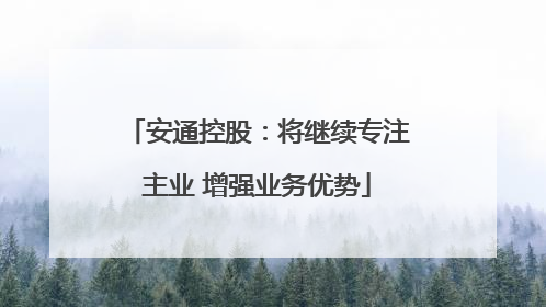 安通控股：将继续专注主业 增强业务优势