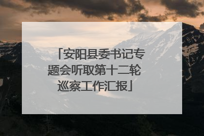 安阳县委书记专题会听取第十二轮巡察工作汇报