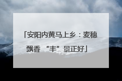 安阳内黄马上乡：麦穗飘香 “丰”景正好