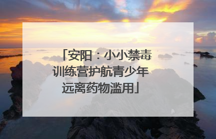 安阳：小小禁毒训练营护航青少年远离药物滥用