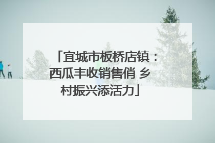宜城市板桥店镇：西瓜丰收销售俏 乡村振兴添活力