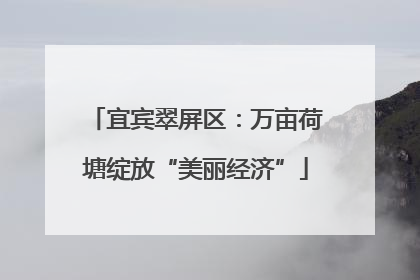 宜宾翠屏区：万亩荷塘绽放“美丽经济”