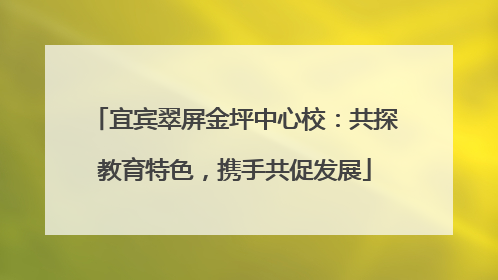 宜宾翠屏金坪中心校：共探教育特色，携手共促发展