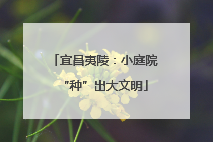 宜昌夷陵：小庭院“种”出大文明