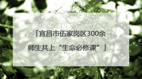 宜昌市伍家岗区300余师生共上“生命必修课”