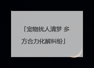 宠物扰人清梦 多方合力化解纠纷