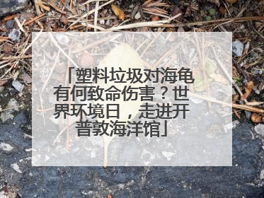 塑料垃圾对海龟有何致命伤害？世界环境日，走进开普敦海洋馆